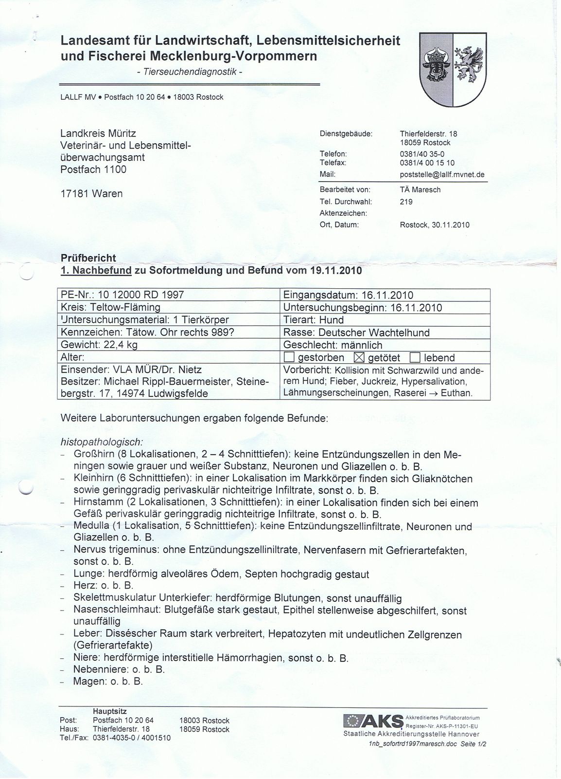 Nachbefund Seite 1 Basko von Dreiannen pdf-preview