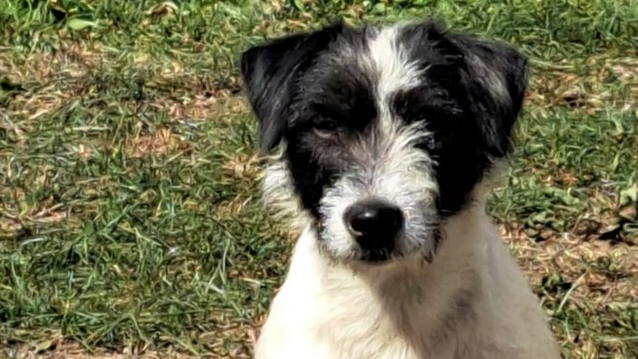 Ride on vom Ebersburger Holz