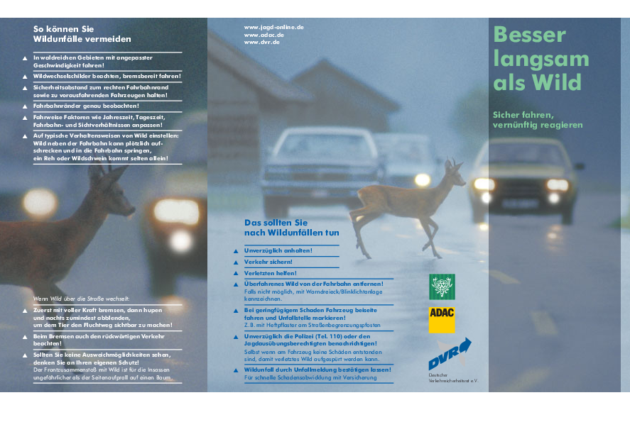 pdf-preview