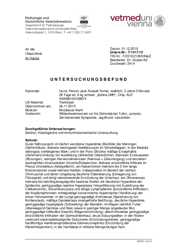 Befund PRT2 pdf-preview