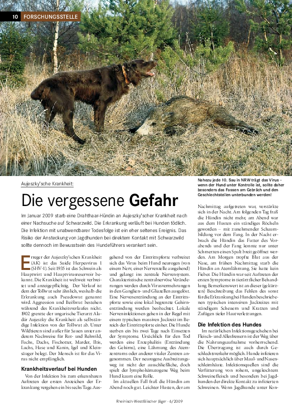 Rheinisch-Westfälischer Jäger · 6/2009 Aujeszky Virus pdf-preview