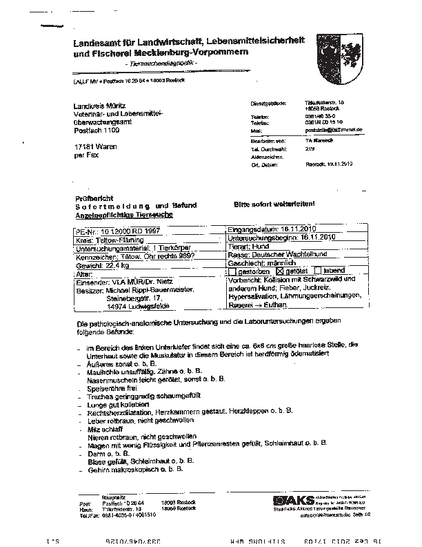 Befund Basko von Dreiannen pdf-preview