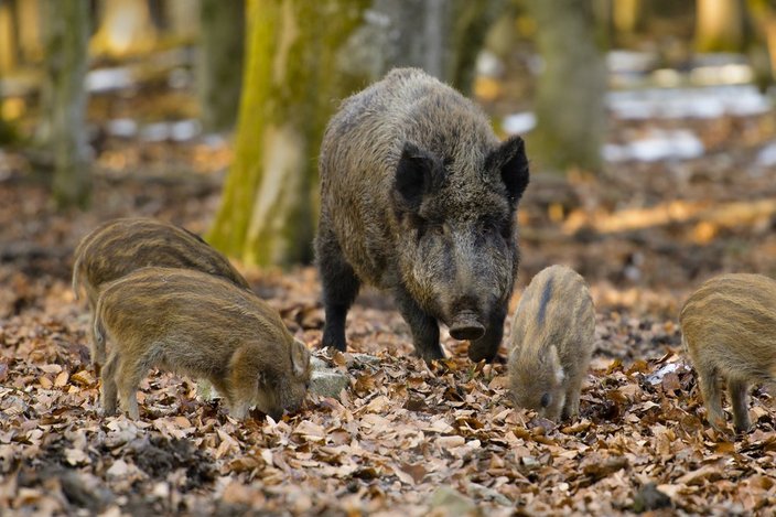 Foto: Christiane Weimer