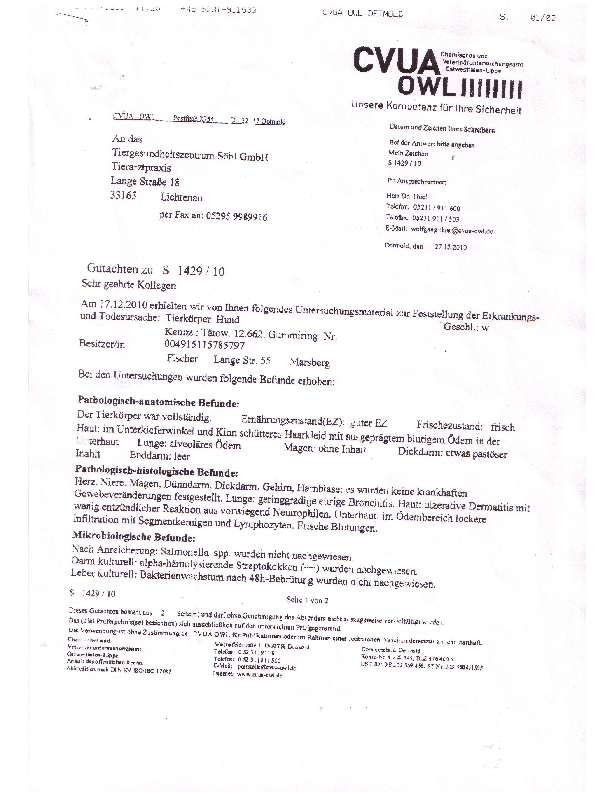 Kopov_2 pdf-preview