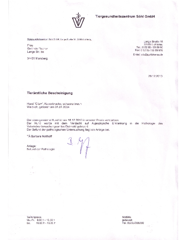 Kopov_TA Bescheinigung pdf-preview