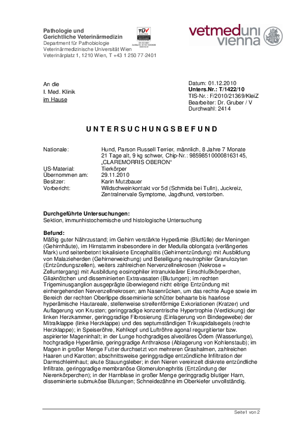 Befund PRT1 pdf-preview