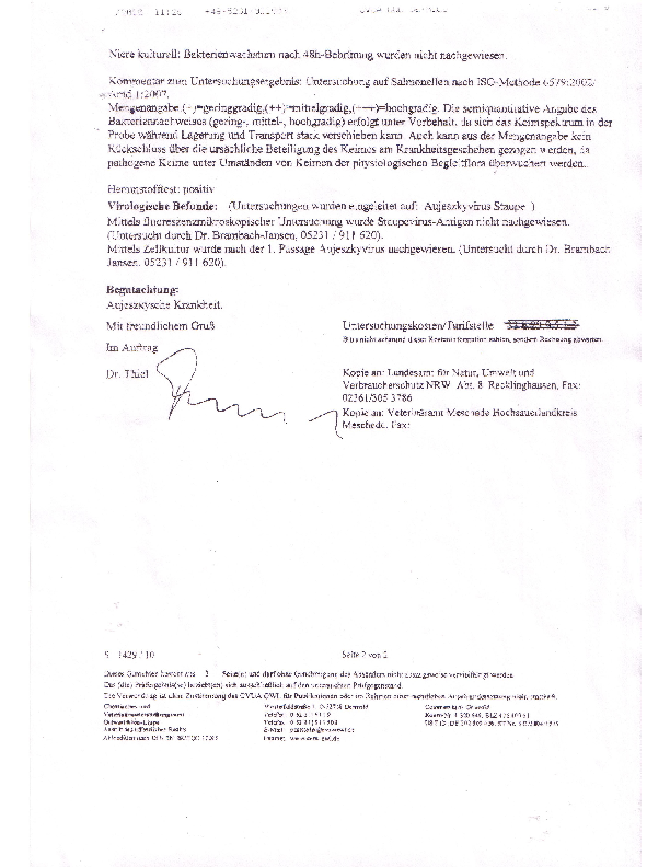 Kopov_3 pdf-preview